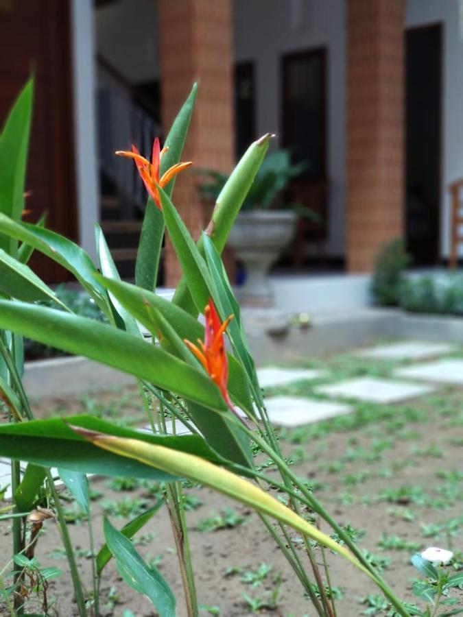 Guest house Genta House Kuta (Bali)